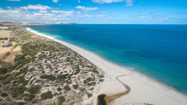 Vue aérienne d’une plage aux eaux turquoise et limpides, bordée d’un rivage sablonneux et parsemée de quelques plantes.