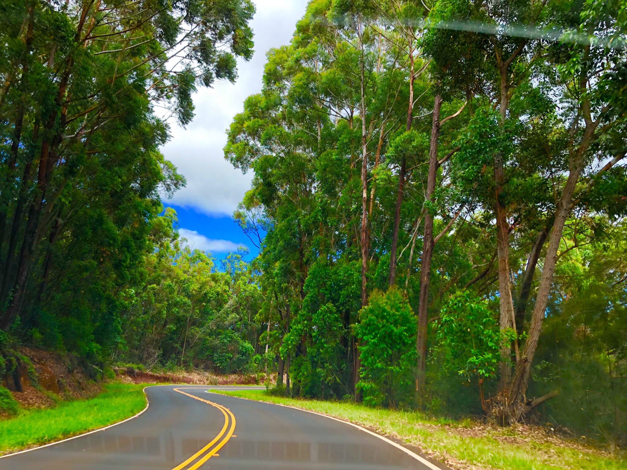 In the Heart of Kauai, Great Location, Steps from the Beach and Shops - Photo 18