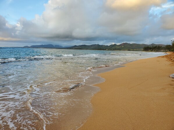 Sun-loungers, beach towels