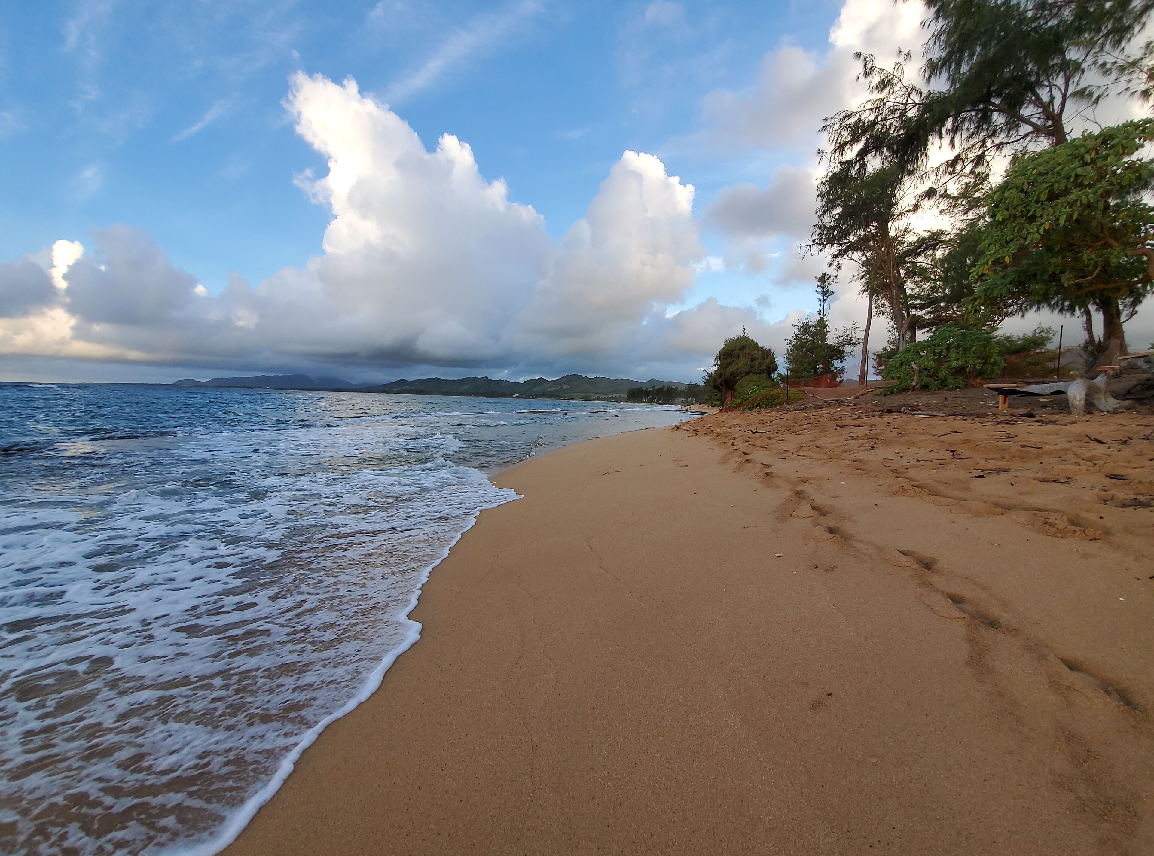 Sun loungers, beach towels