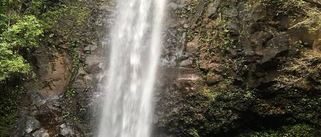 Uma cascata cercada por vegetação exuberante.