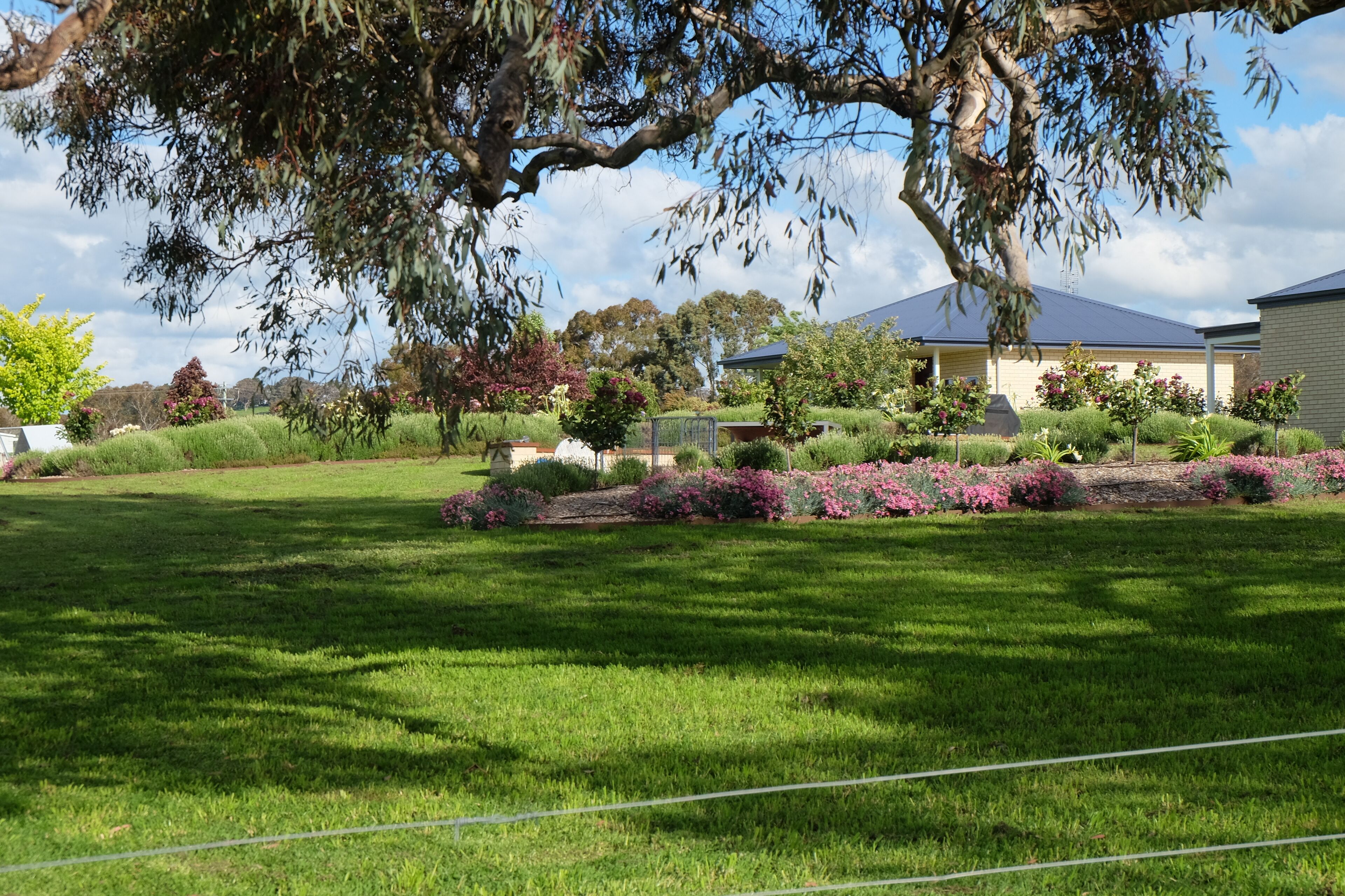 Áreas de la propiedad
