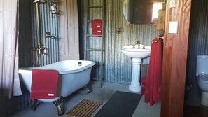 Combined shower/bathtub, hair dryer, towels, soap