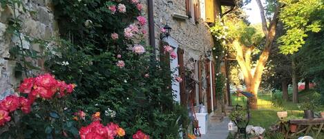 Terrein van de accommodatie