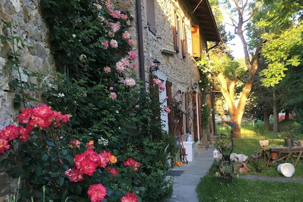 Àrea exterior de l'allotjament