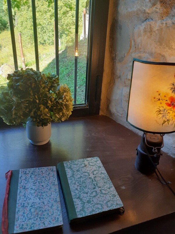 A wooden table with a potted plant, a lamp, and two notebooks.