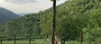 Cottage accogliente per animali domestici + piscina vicino a Firenze. Viste fantastiche Capannina. pl2