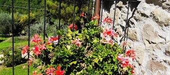 Pet-friendly cosy cottage+poolclose to Florence. Great views. Capannina. sleeps2