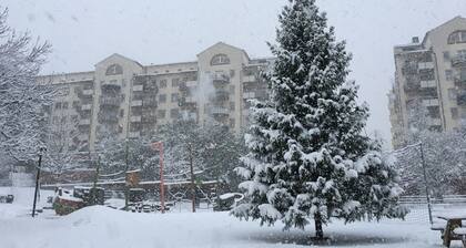 Bright & cozy apartment in a central & popular area next to main fairs & events