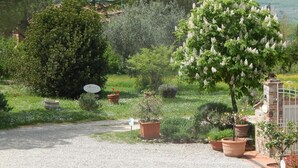 A garden with various potted plants, a gravel path, and a stone wall. - 45sqm two room apartment with independent entrance, kitchen living room, double bedroom (San Martino)