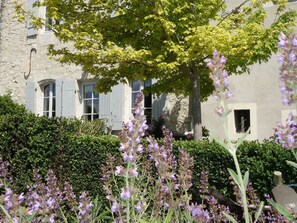 Maison de la Paix - Early spring herbs from the garden too! Issigeac, Dordogne.