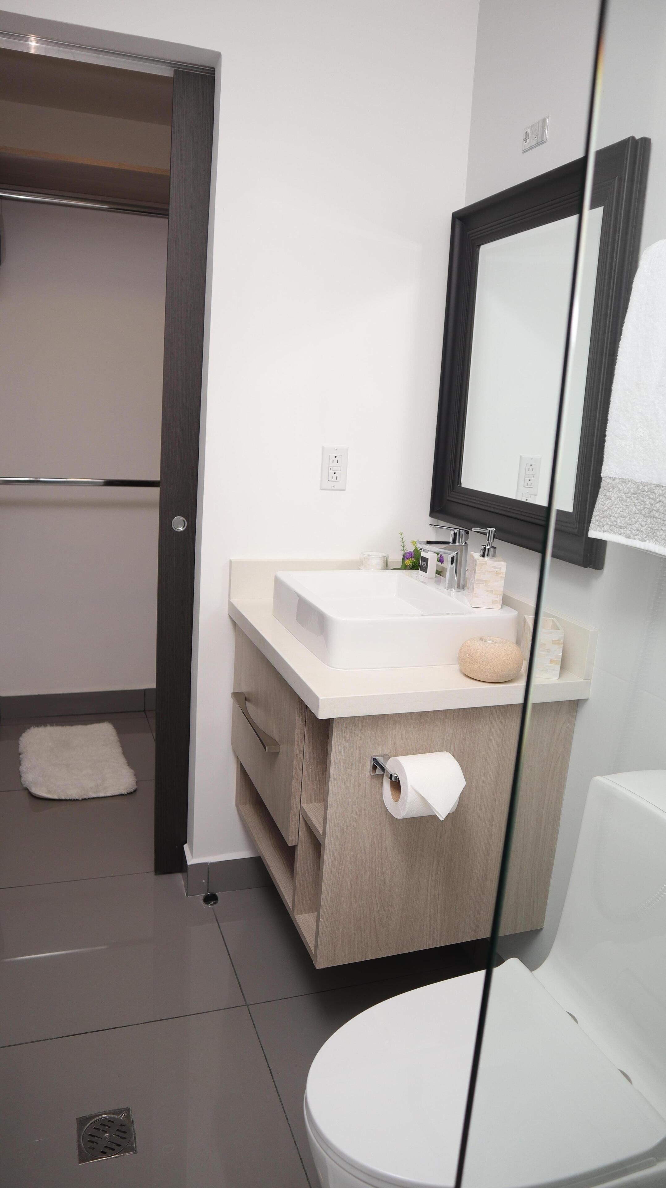 Shower, hair dryer, bidet, towels