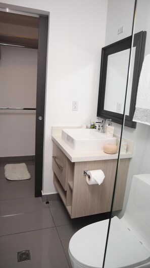 Shower, hair dryer, bidet, towels