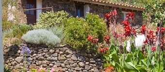 Koselig hytte med hage midt i naturen