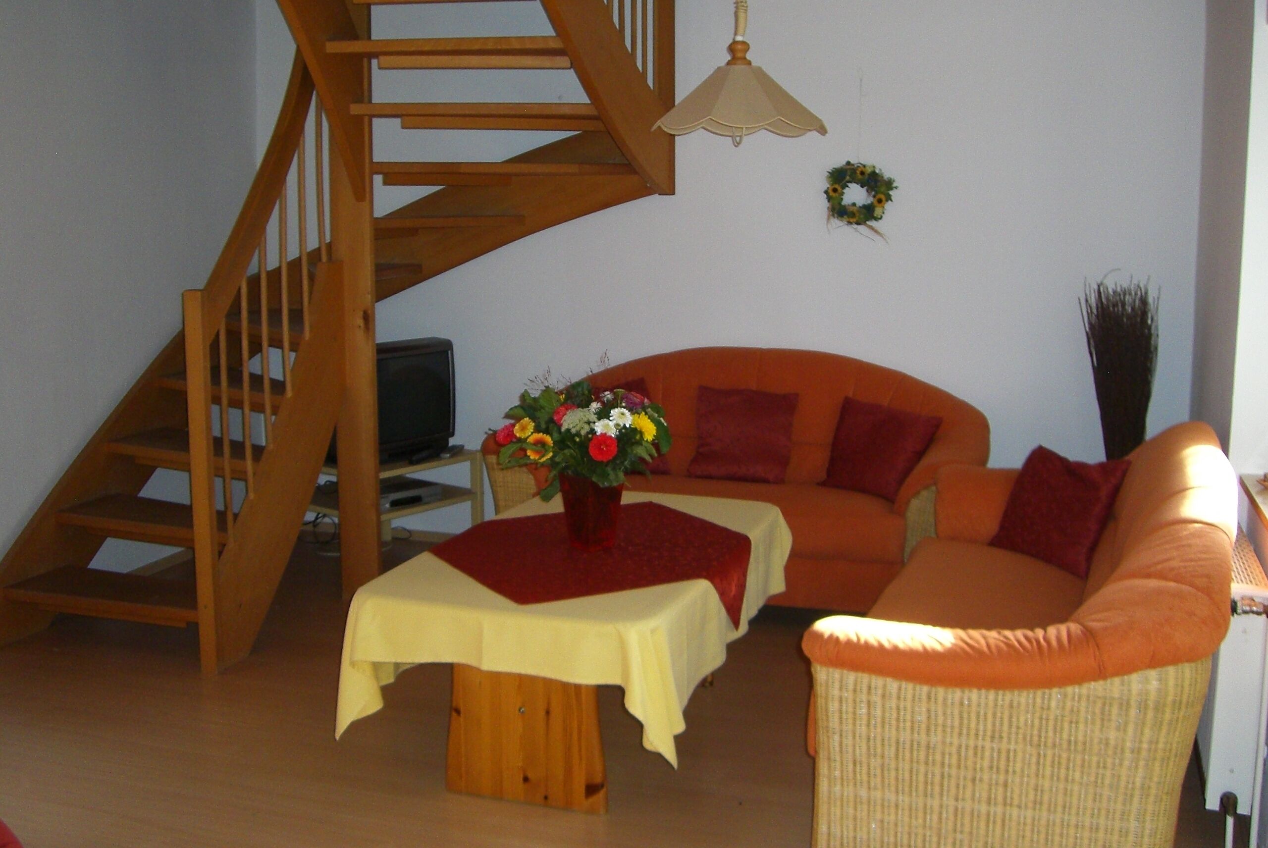 Fernseher, Bücher