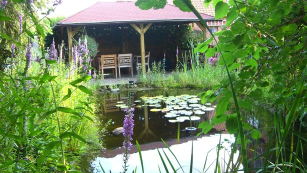 A garden with a pond, wooden chairs, and a covered pavilion. - Comfortable apartment with dream garden (Bleckede)