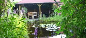 Comfortable apartment with dream garden