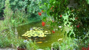 A wooden deck with potted plants and a pond with lily pads and fish. - Comfortable apartment with dream garden (Bleckede)