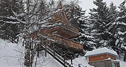 Magnifique chalet delta plein sud jusqu'Ă 10 personnes