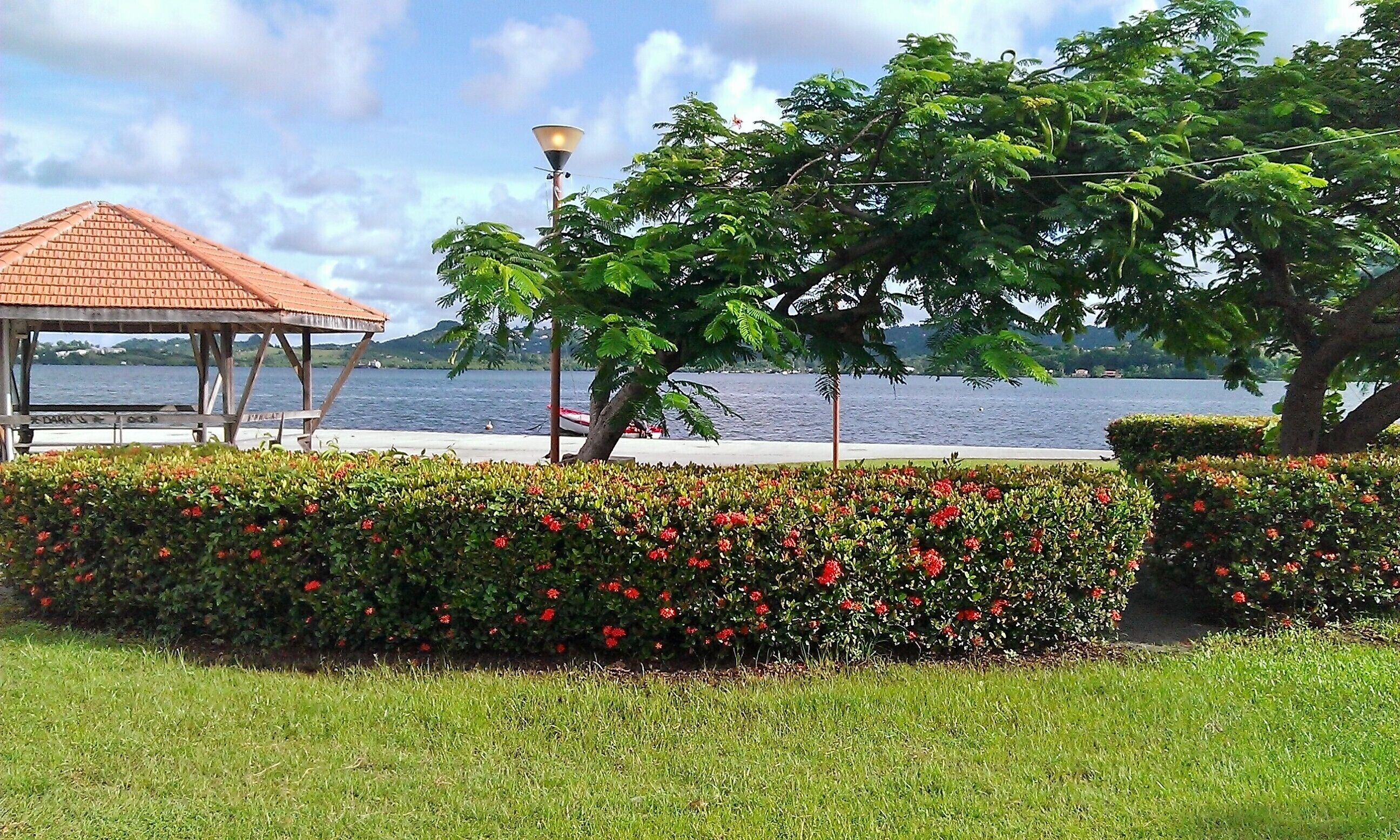 A gazebo, a lamp post, and a body of water with a tree in the foreground.