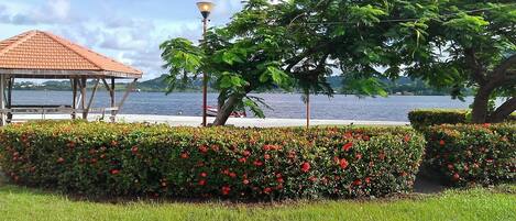 A gazebo, a lamp post, and a body of water with a tree in the foreground.