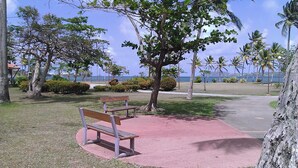 Un parc avec un banc, un arbre et une vue sur l’océan.