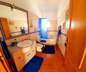 Combined shower/tub, hair dryer, bidet, towels