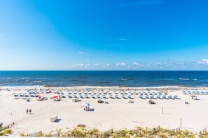 On the beach - Seawind 506 Beach Front Condo - Amazing Views from 5th floor (Gulf Shores)