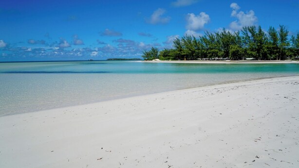 A beach with clear turquoise water, white sand, and a line of trees in the background.