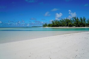 Beach - Sunny Daze, 1 bed 1 bath with beach access (Spanish Wells)