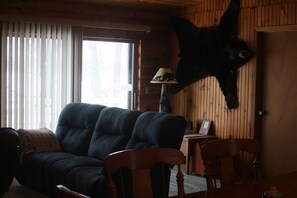 Smart TV, DVD player, books