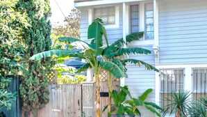 A house with a wooden fence, a banana tree, and a patio with a bench. - Carriage House, Forsyth Park, Pet friendly, private courtyard 🩷 (Savannah)