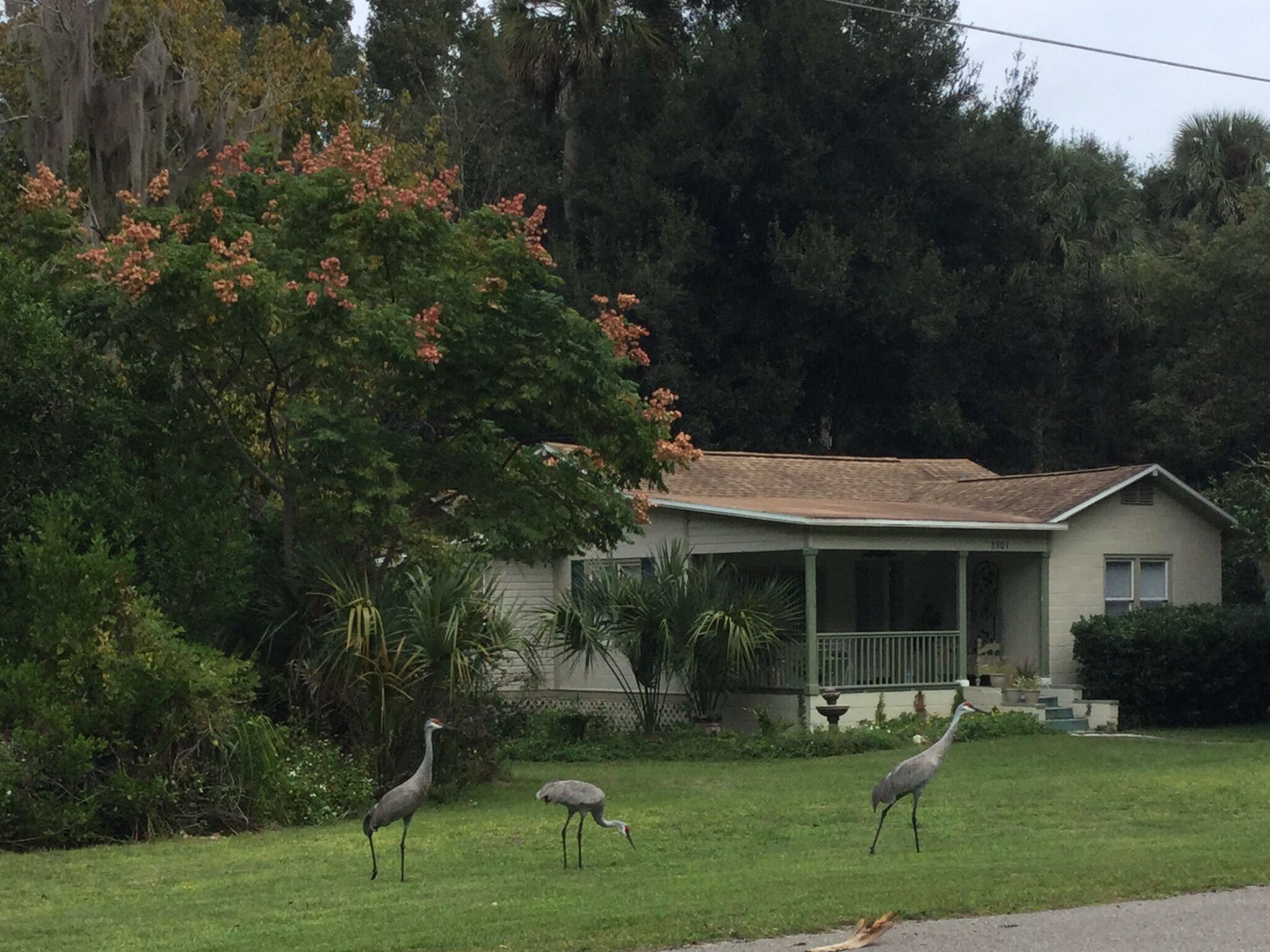 A house with a porch and a lawn.