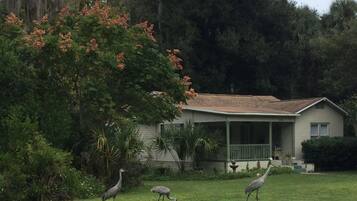 A house with a porch and a lawn.