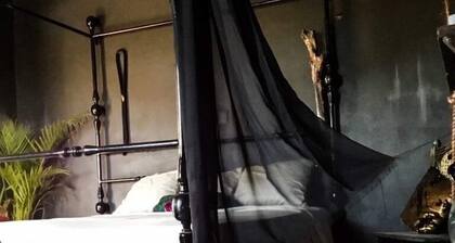 Artistic centre hostel & private rooms