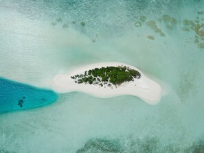 鸟瞰图