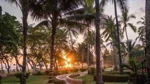 A pathway surrounded by palm trees leading to a beach. - Sunset del Mar Beach Front House (Parrita)