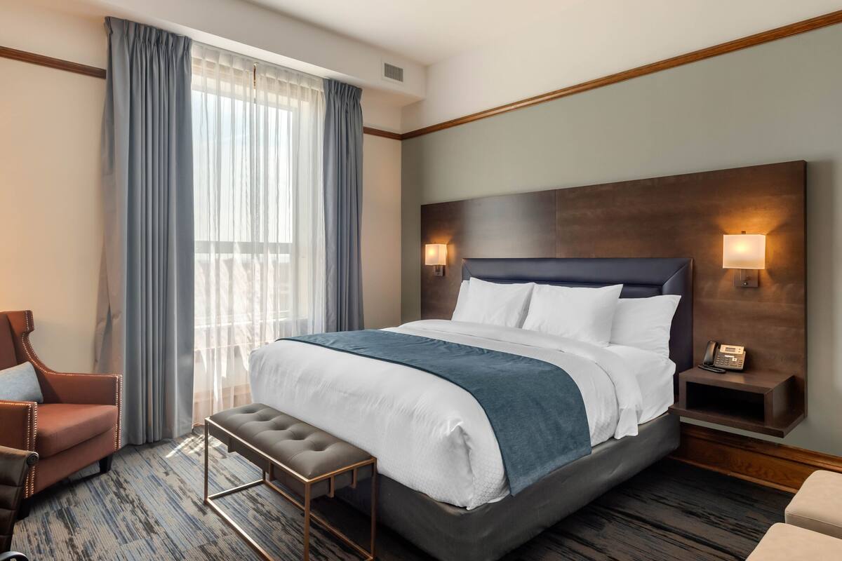 standard room, 1 king bed with sofa bed | desk, blackout curtains, iron/ironing board, cots/infant beds