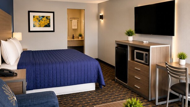 Ein Hotelzimmer mit Bett, einer Sitzecke, einem Schreibtisch, einem Fernseher und einer Küchenzeile.