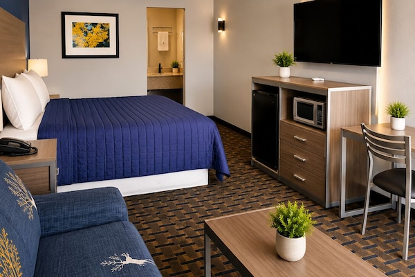 Economy Single Room, 1 King Bed, Non Smoking | Desk, soundproofing, WiFi (free), individually decorated