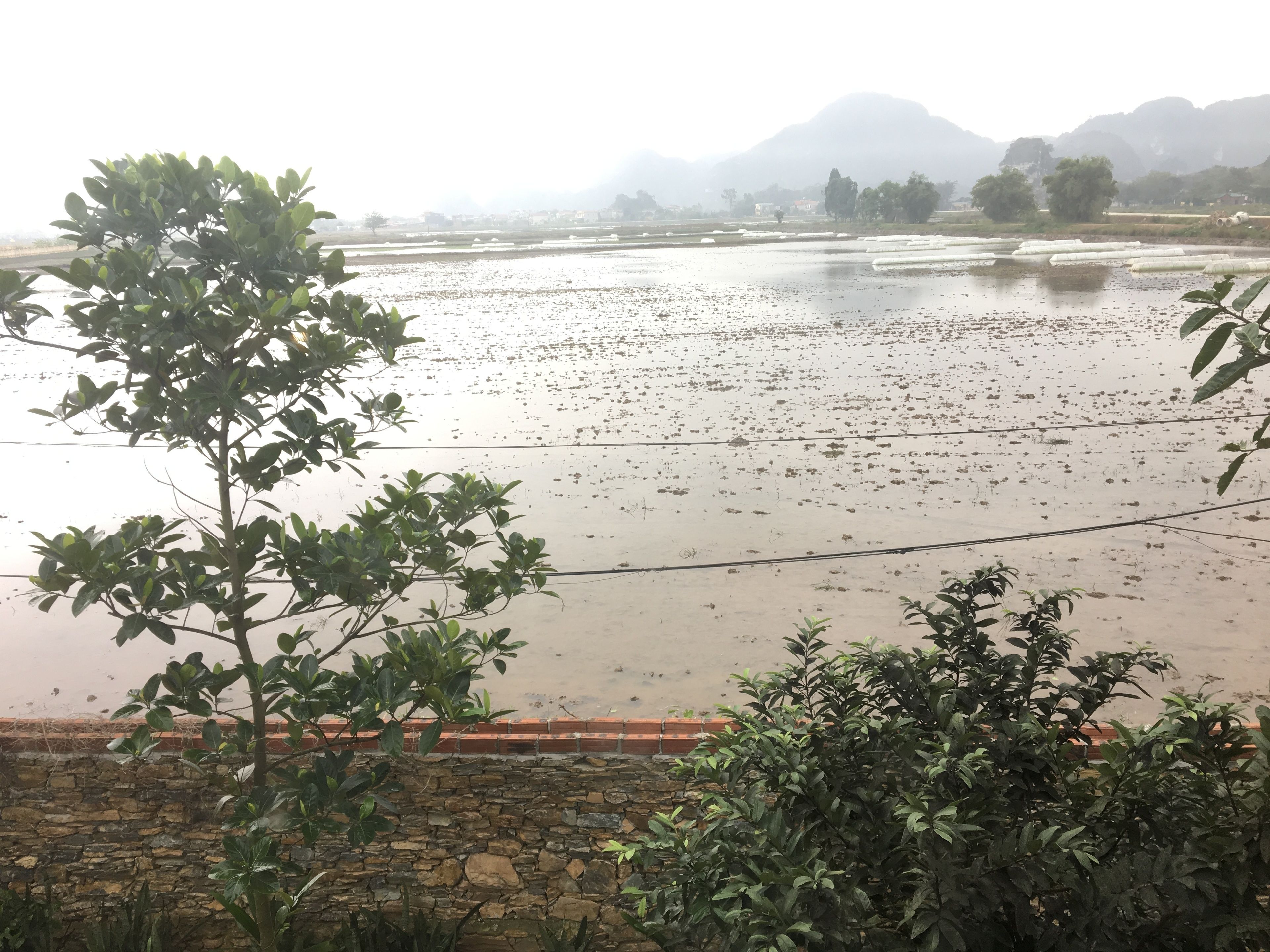 minibar, desk, soundproofing, free wifi