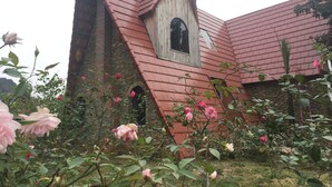 Unclassified image, 4 of 92, button - Trang An Secret Garden (Hoa Lu)