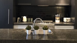 A modern kitchen with dark cabinetry, a stainless steel sink, a gas stove, and a toaster. - Bond Street Apartment Luxury 3-bedroom (Dunedin)