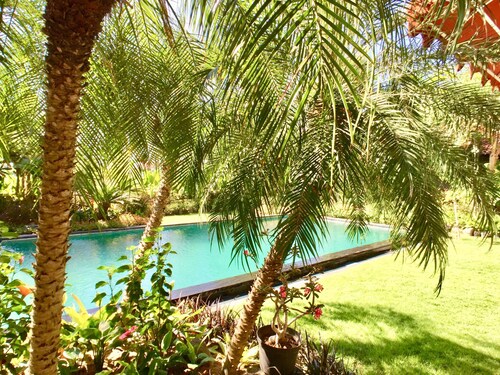 Unique,artfully stylished, traditional villa,big pool,beautiful garden, central 