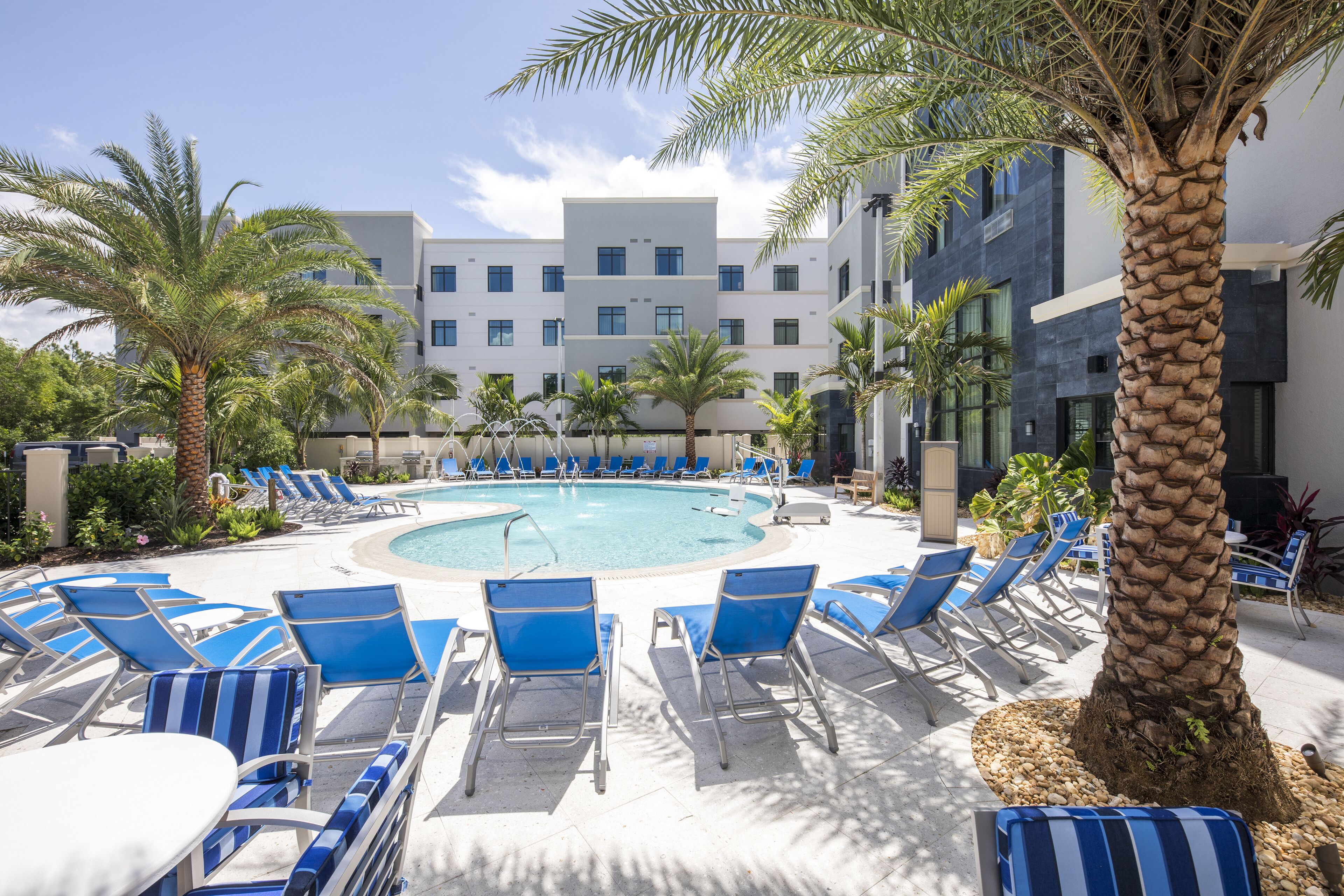A pool area with blue lounge chairs and palm trees.