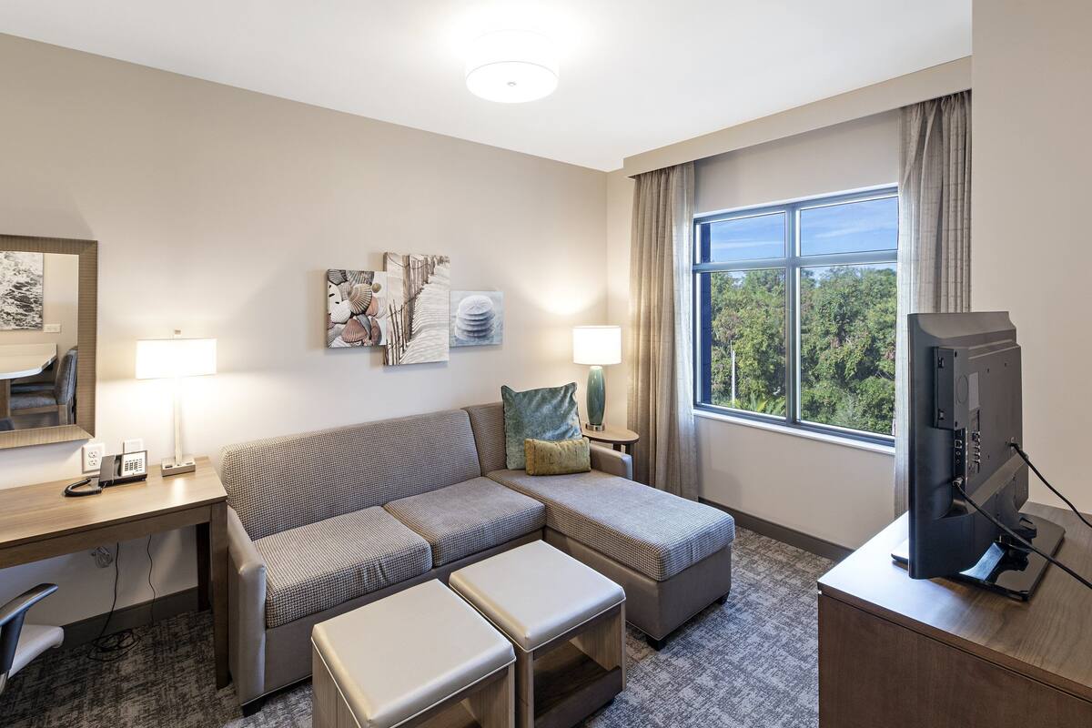 A hotel room with a sofa, a desk, a television, and a window with a view of trees.