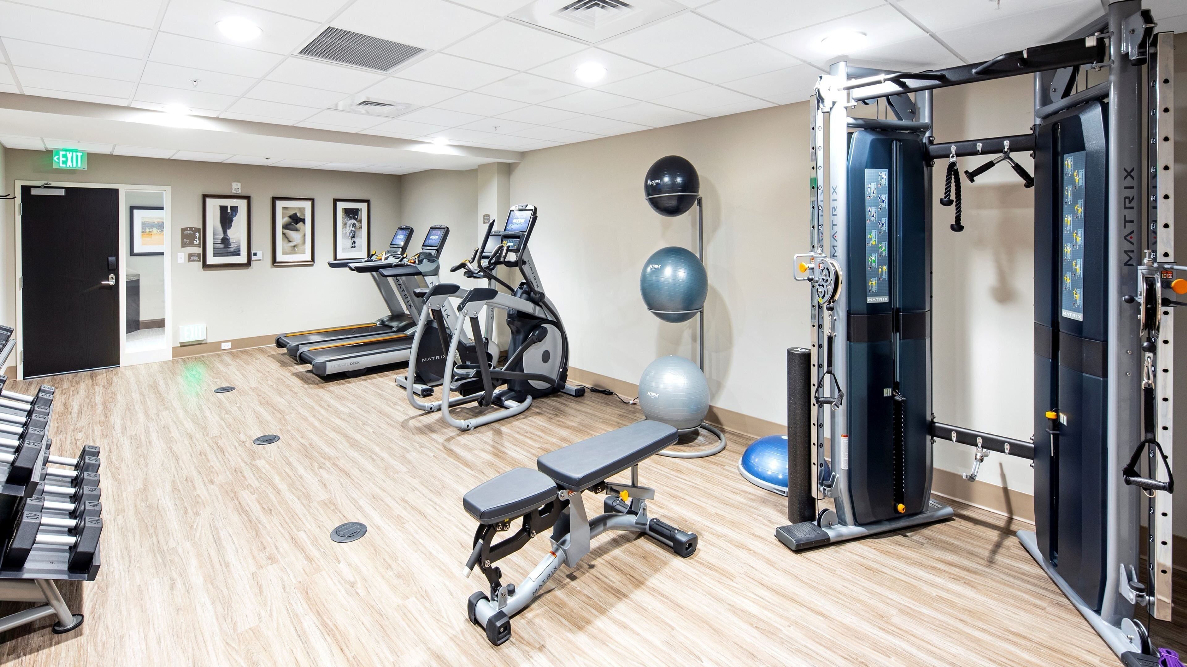A gym with treadmills, elliptical machines, and free weights.