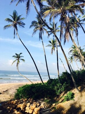 Playa