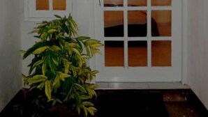 Uma porta branca com vários painéis de vidro, um vaso de plantas em frente e um tapete escuro na entrada.