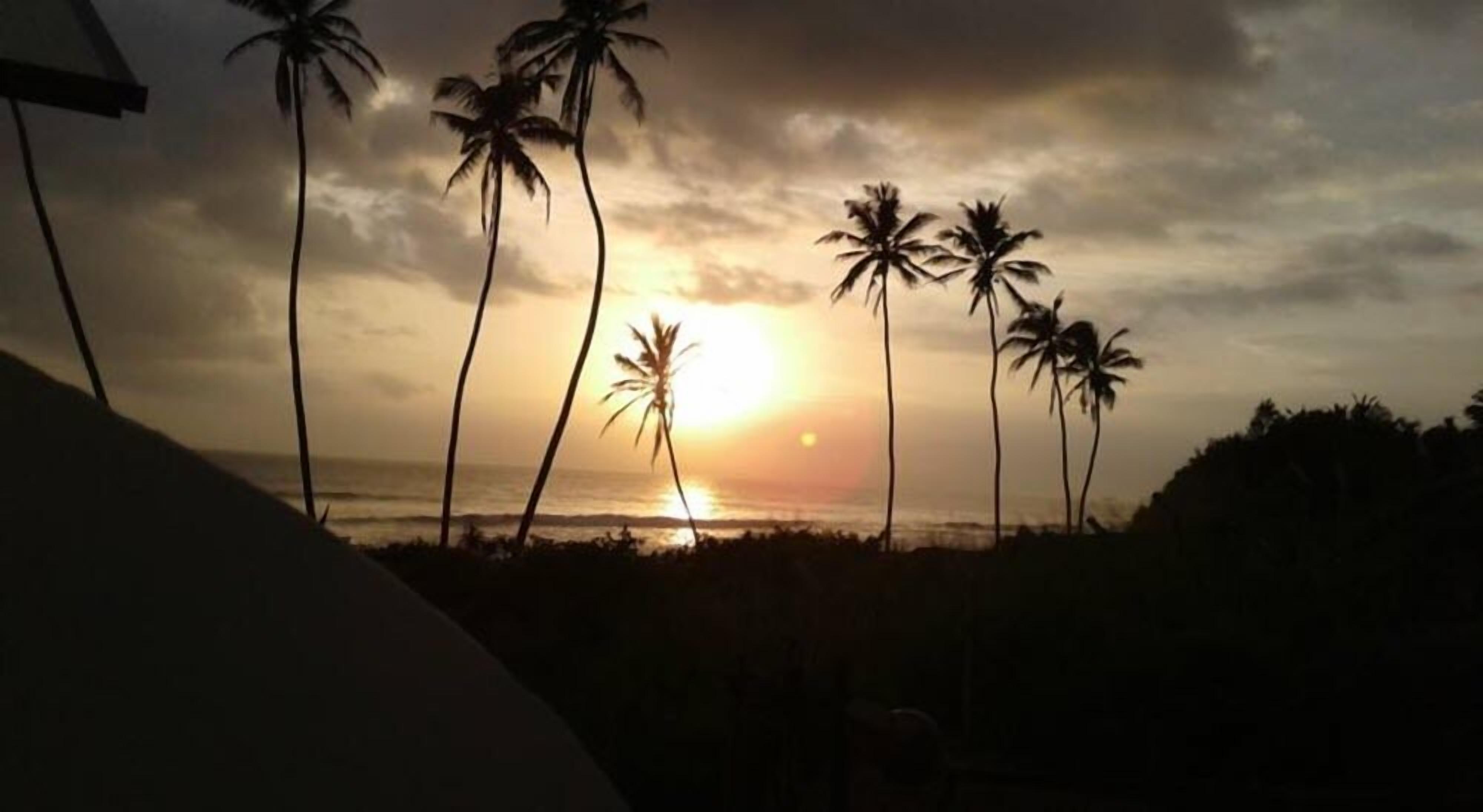 Een zonsondergang boven een strand, met palmbomen in silhouet tegen de lucht.